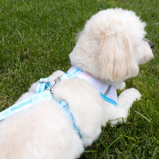 Sanrio Pet Harness with Leash