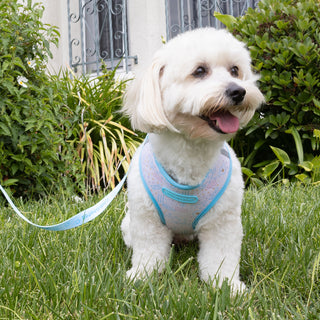 Sanrio Pet Harness with Leash