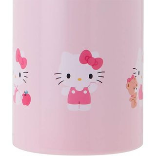 Sanrio Stainless Steel Bottle