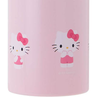 Sanrio Stainless Steel Bottle