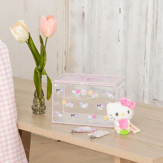 Sanrio Pastel Check Clear Storage Case