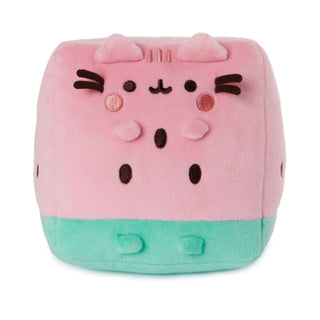 Pusheen Watermelon