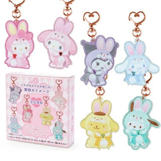 Sanrio Fluffy Rabbit Keychain Blind Box