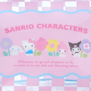 Sanrio Pastel Check Clear Zipper Pouch