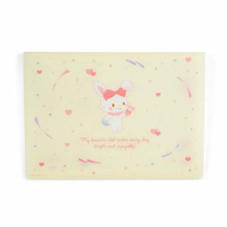 Sanrio Enjoy Idols Pocket File Folder