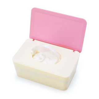 Sanrio Wet Wipes Case