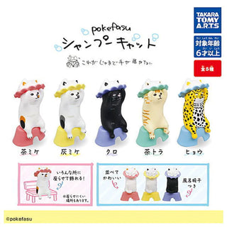 Shampoo Cats 6 Capsule