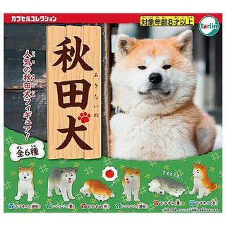 Akita Dogs Figure Capsule